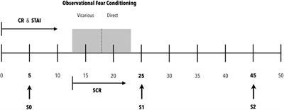 Cognitive Reserve and Anxiety Interactions Play a Fundamental Role in the Response to the Stress